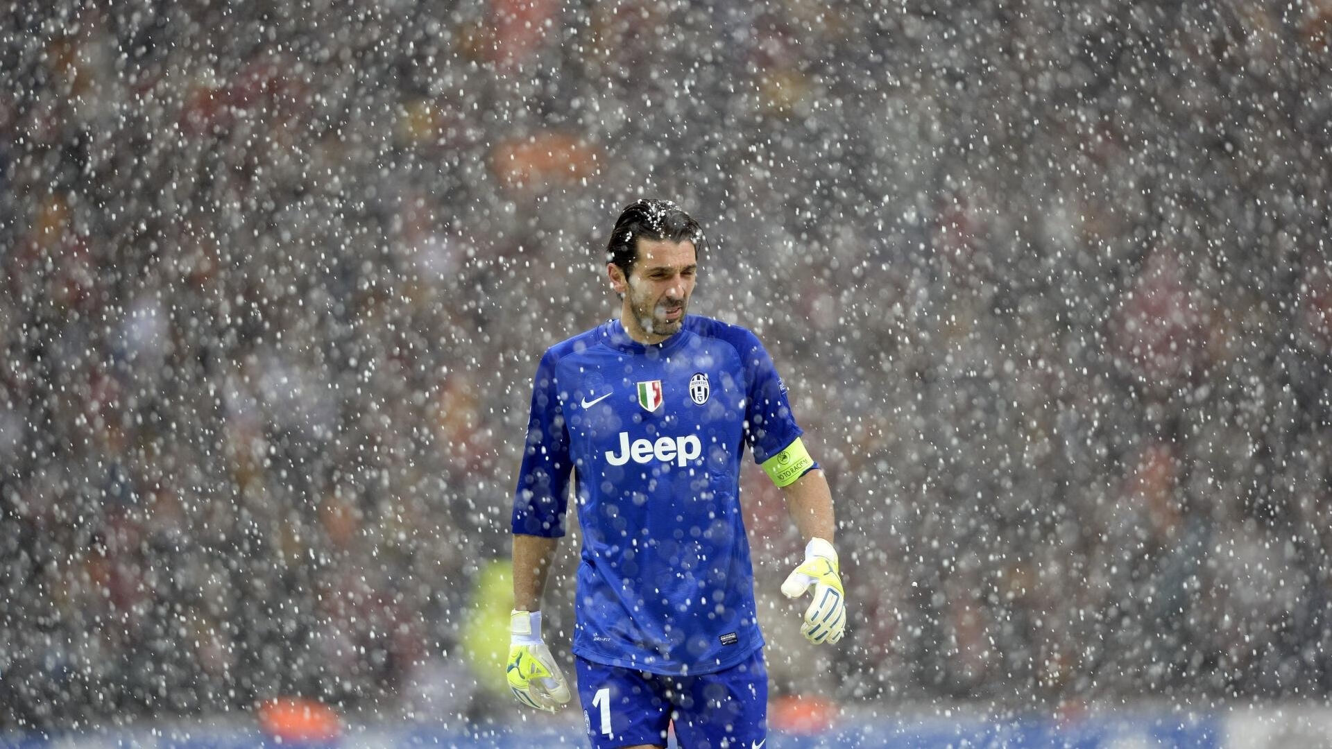 康纳·麦克戴维荣膺季后赛MVP，康纳·麦克尼尔